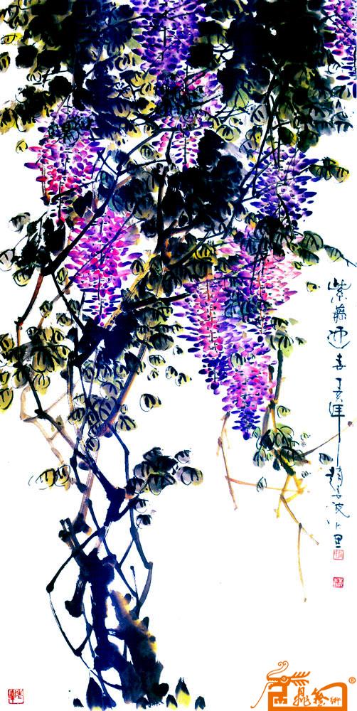 紫藤迎春